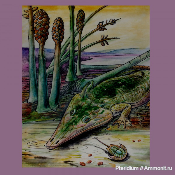 Бентозух и лимулоидес, работа Сергея Наугольных