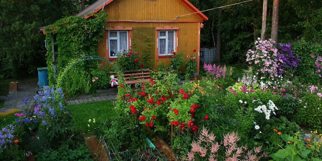 Исповедь двух сердец за чашкой чая на даче