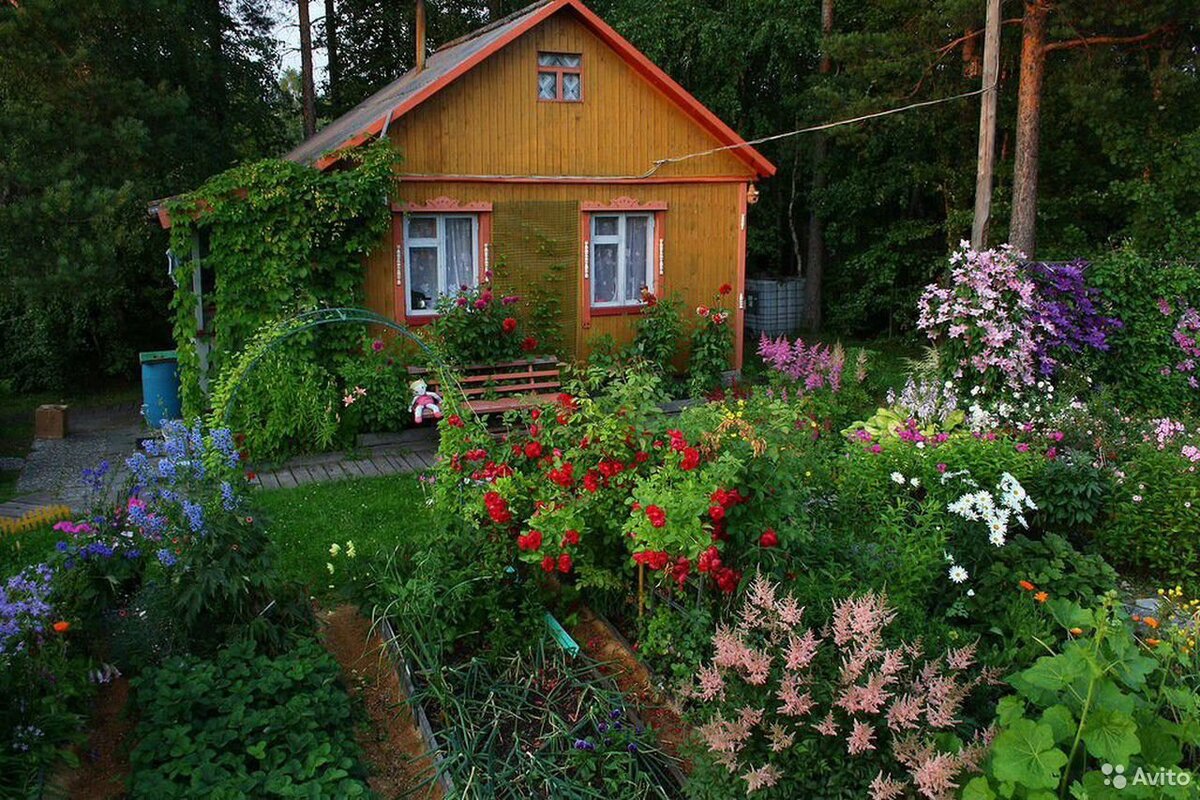 Фото из открытых источников Яндекса