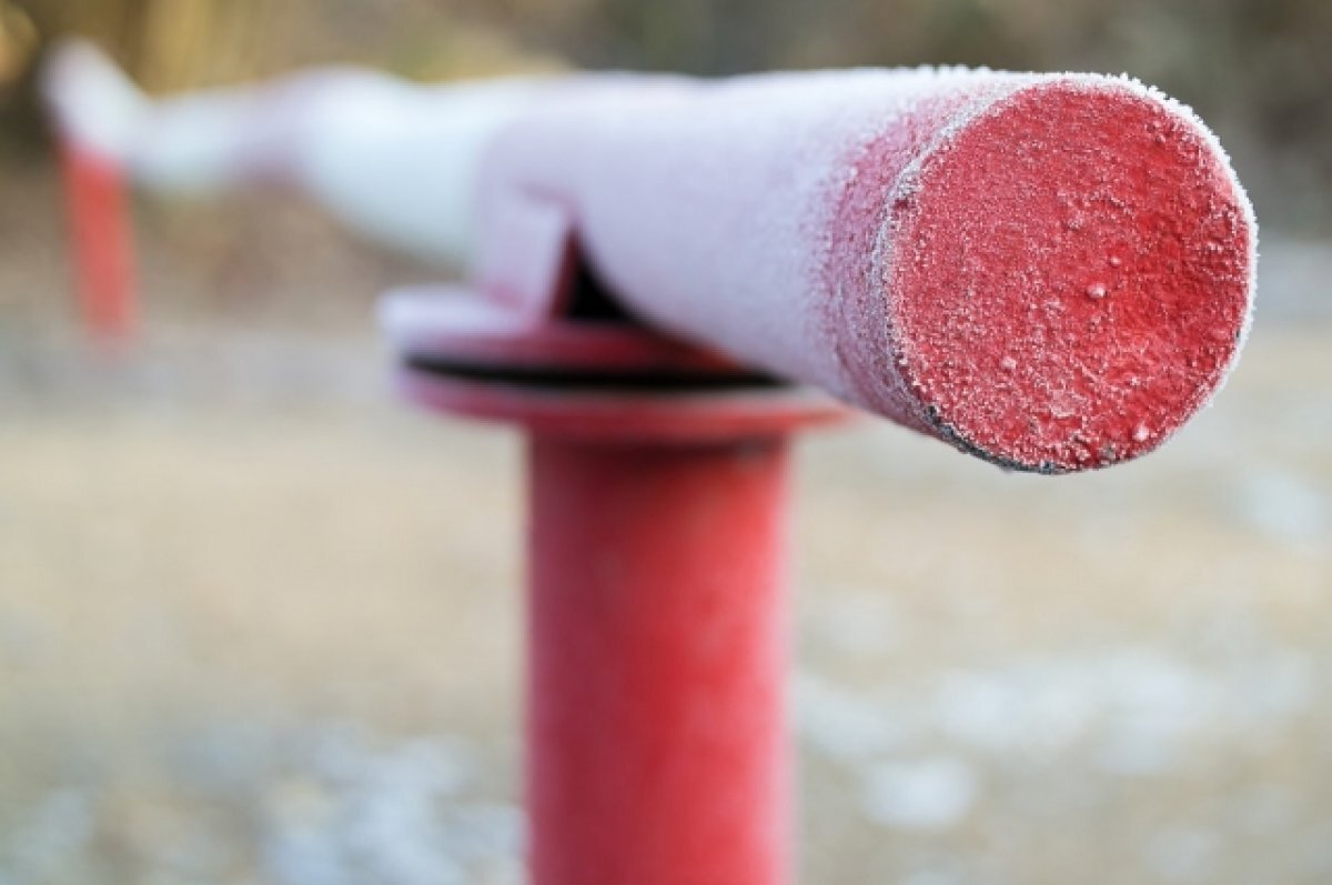    В Рязанской области до 13 сентября продлили запрет на пребывание в лесах