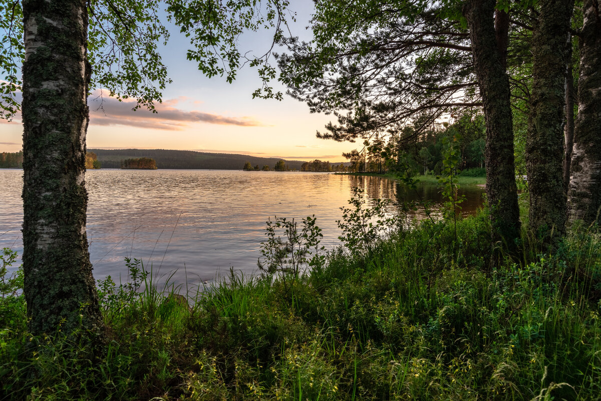 Источник: ru.freepik.com