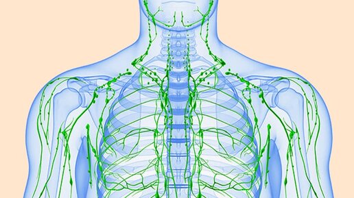 Как ускорить ток лимфы: 3 простых шага