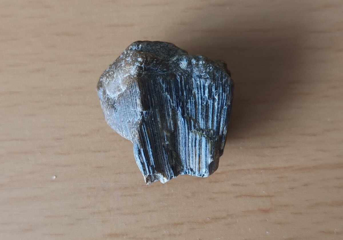 Фото автора.