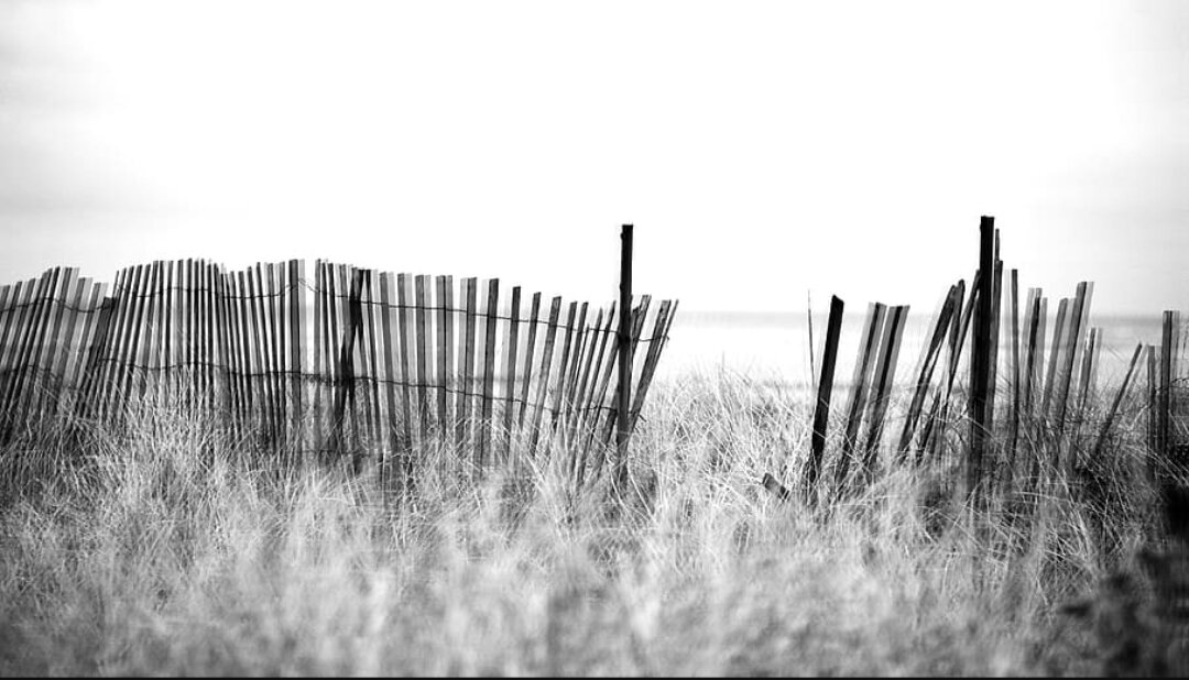 Заголовок - цитата из песни иноагента