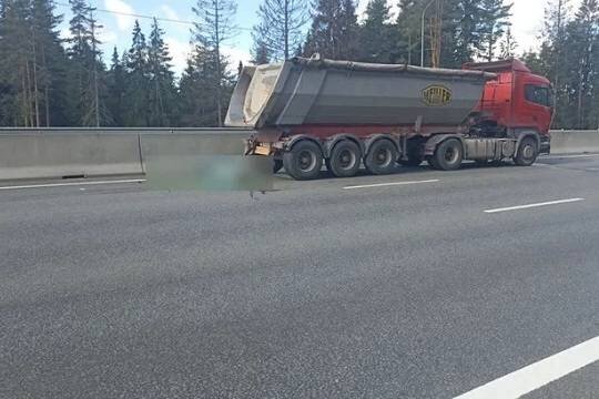    Фура наехала на колонну девочек-велосипедисток в Ленинградской области