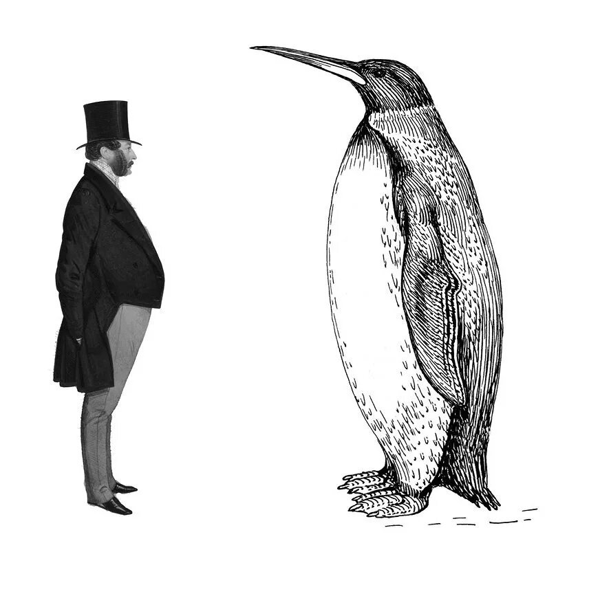 Эволюционные изменения