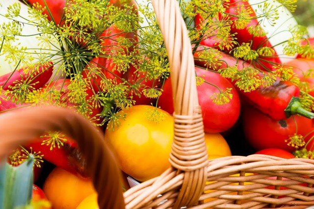   Фото из архива Калининград.Ru