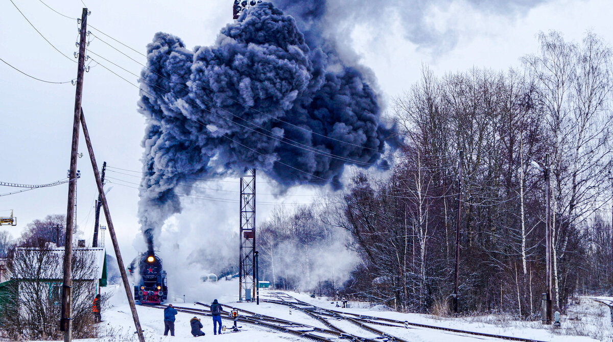 Солидный вылетел медведь!