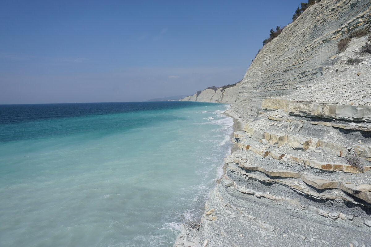 Сосновка в геленджике фото