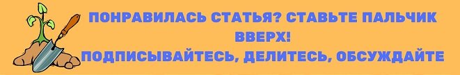 Внекорневая подкормка для огурцов. Увеличение плодоношения и от пожелтения листьев.