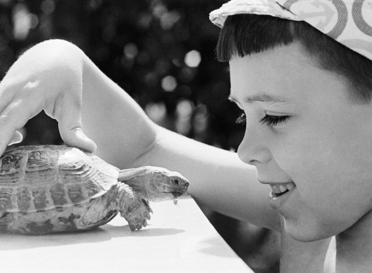  
19 июня 1979 года. Андрей Матяш с черепахой в уголке живой природы в детском саду № 637, расположенном в Ворошиловском районе (был образован в 1969-м и упразднен в 1991 году) города МосквыФото: Валерий Христофоров/ ТАСС15 июня в культурно-развлекательном комплексе «Кремль в Измайлово» откроется второй международный фестиваль «Русская кухня 2019». Там будет чему удивиться и над чем поностальгировать! Кстати, а почему нам кажется, что когда-то все было лучше, мороженое — вкуснее, леденцы — слаще? Или прав был Александр Пушкин, когда говорил: «Что пройдет, то будет мило»? Мы решили разобраться, почему нас не отпускает вкус детства и что это такое на самом деле.