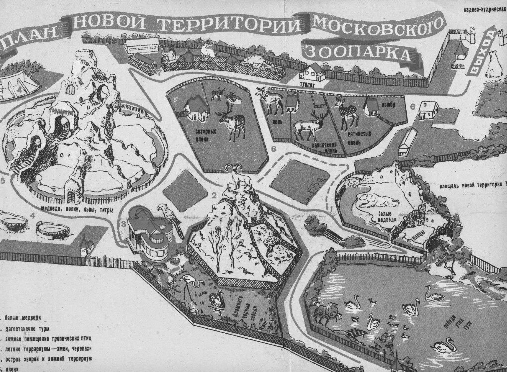 Зоопарк схема размещения зверей москва
