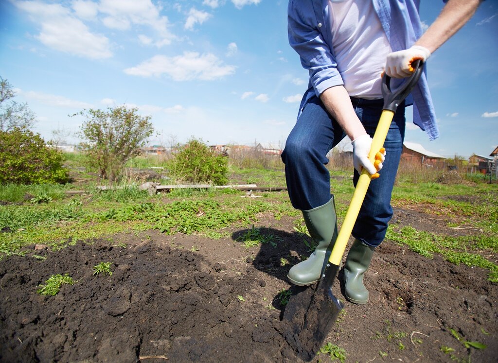 https://lovebackyard.com/wp-content/uploads/2017/05/shoveling.jpg