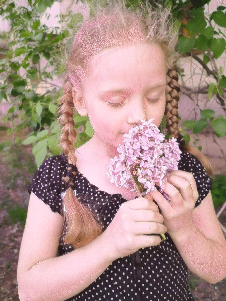 Сиреневая нежность.