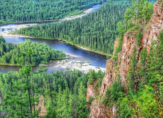 Тайга, красивая тайга, волшебная тайга, Саяно-Шушенск, 