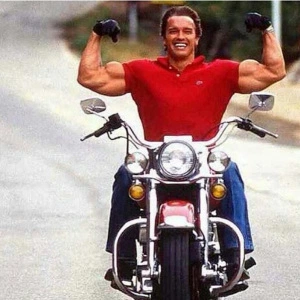 Фото Арнольда на харлее. Взято из открытых источников. 