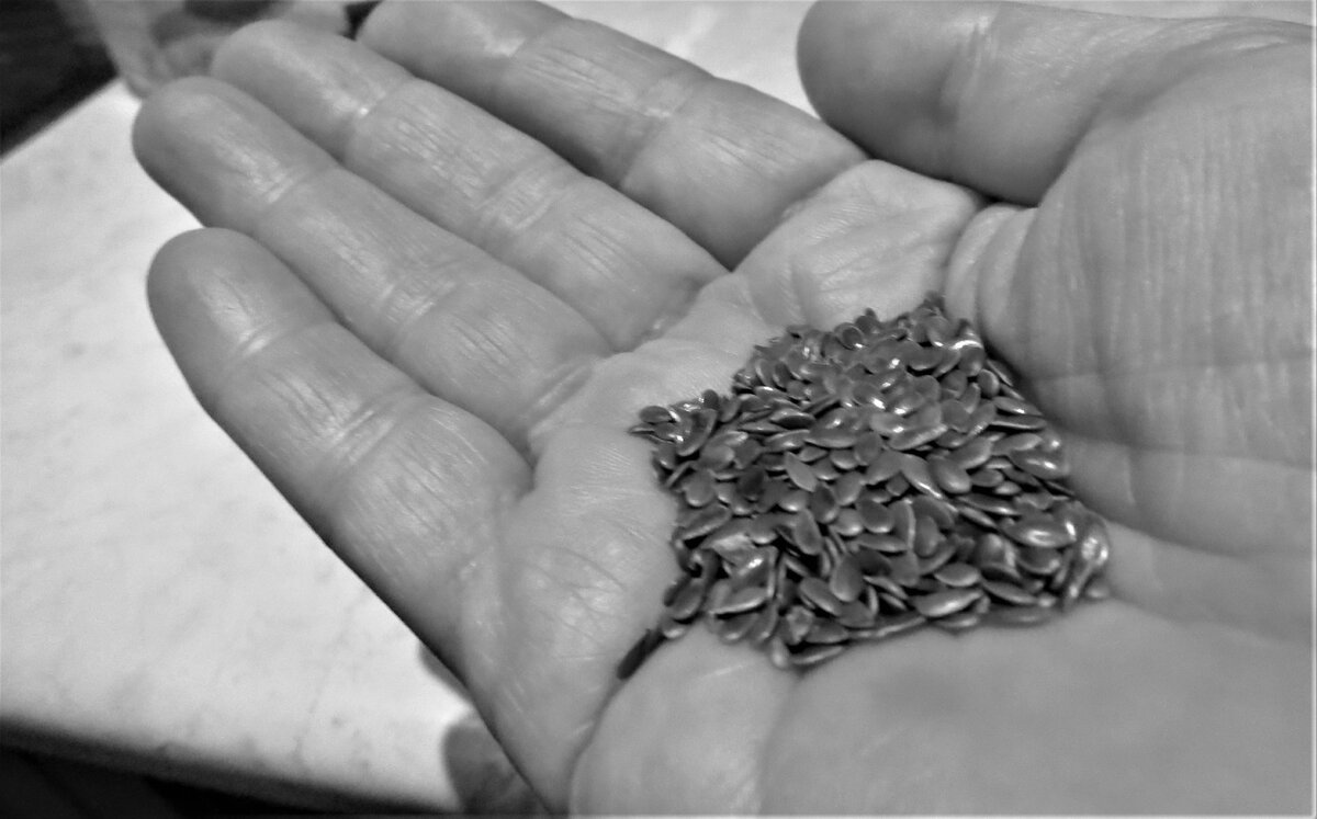 Маленькое семечко таит в себе большую силу