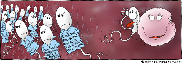 Перевод надписи: "Я проплыл по фаллопиевой трубе, и всё, что я получил - эта с...ная футболка".