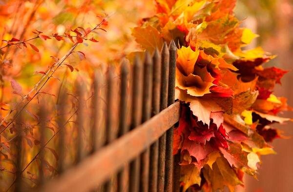 фото из открытого доступа