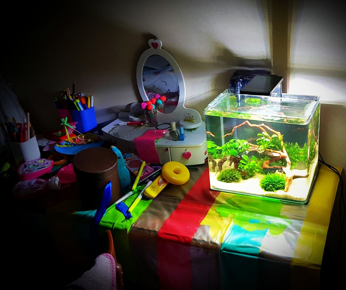  Всем привет ! На фото аквариум (она же аква) в 14 литров, на письменном столе детской комнаты.