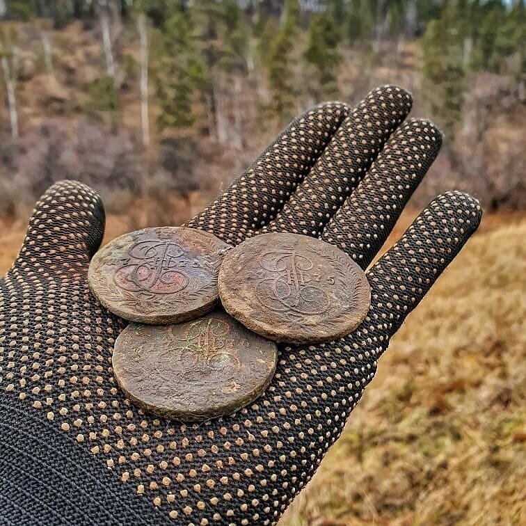 Искренне желаю всем Вам таких находок, да побольше. Фото взято в свободном доступе.