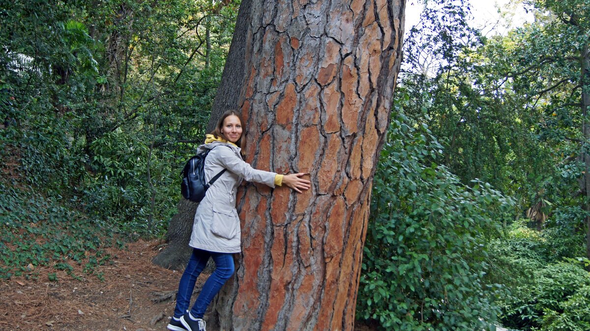 Впечатляющие древние деревья Сада