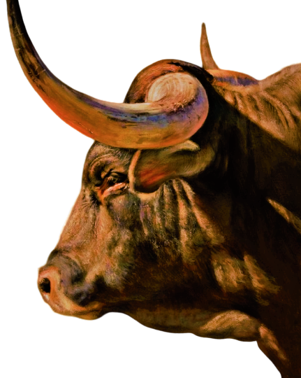 Телец, уверенность, перемены