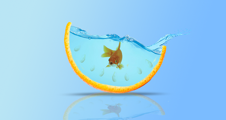 Фото: https://pixabay.com/ru