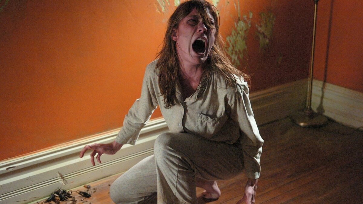 кадр из фильма The Exorcism of Emili Rose, kinopoisk.ru