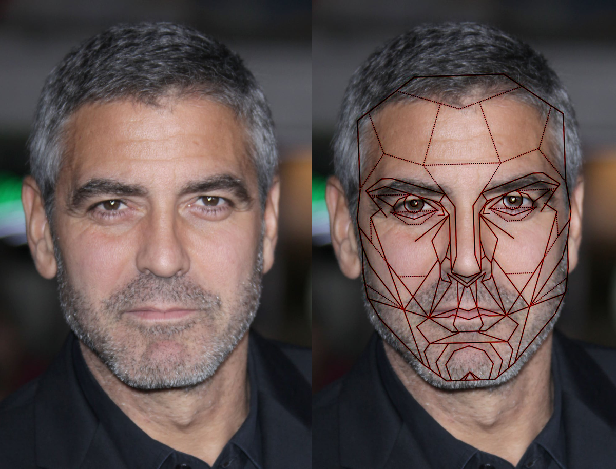 Так ли красив Джорж Клуни по стандарту Золотого сечения? Проверяем в фотошоп