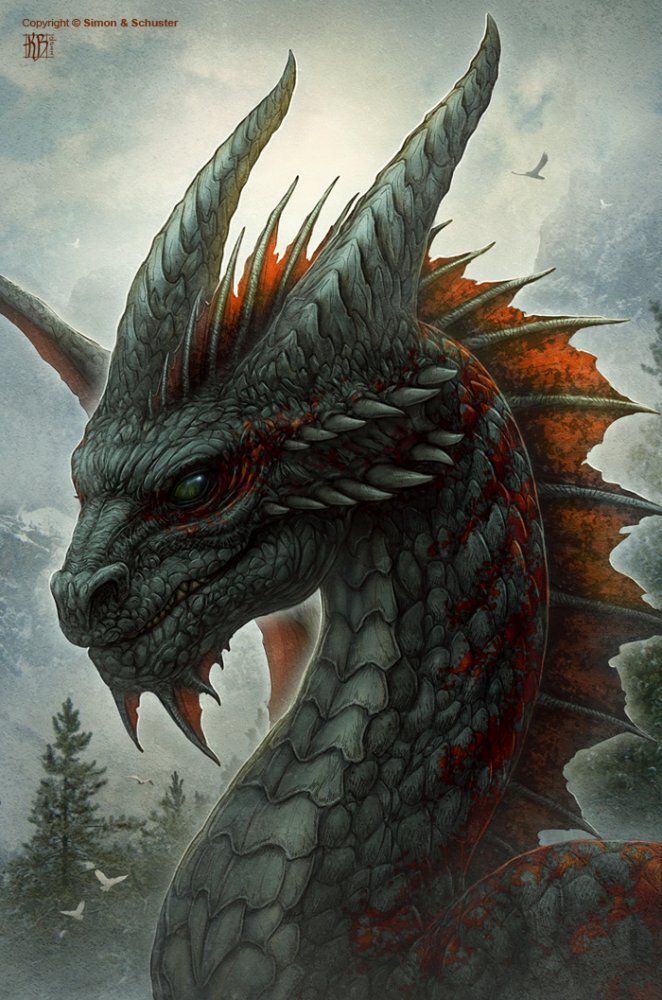 Голова дракона цветная. Керем Бейит Dragon. Kerem Beyit драконы. Морда дракона. Морды драконов.