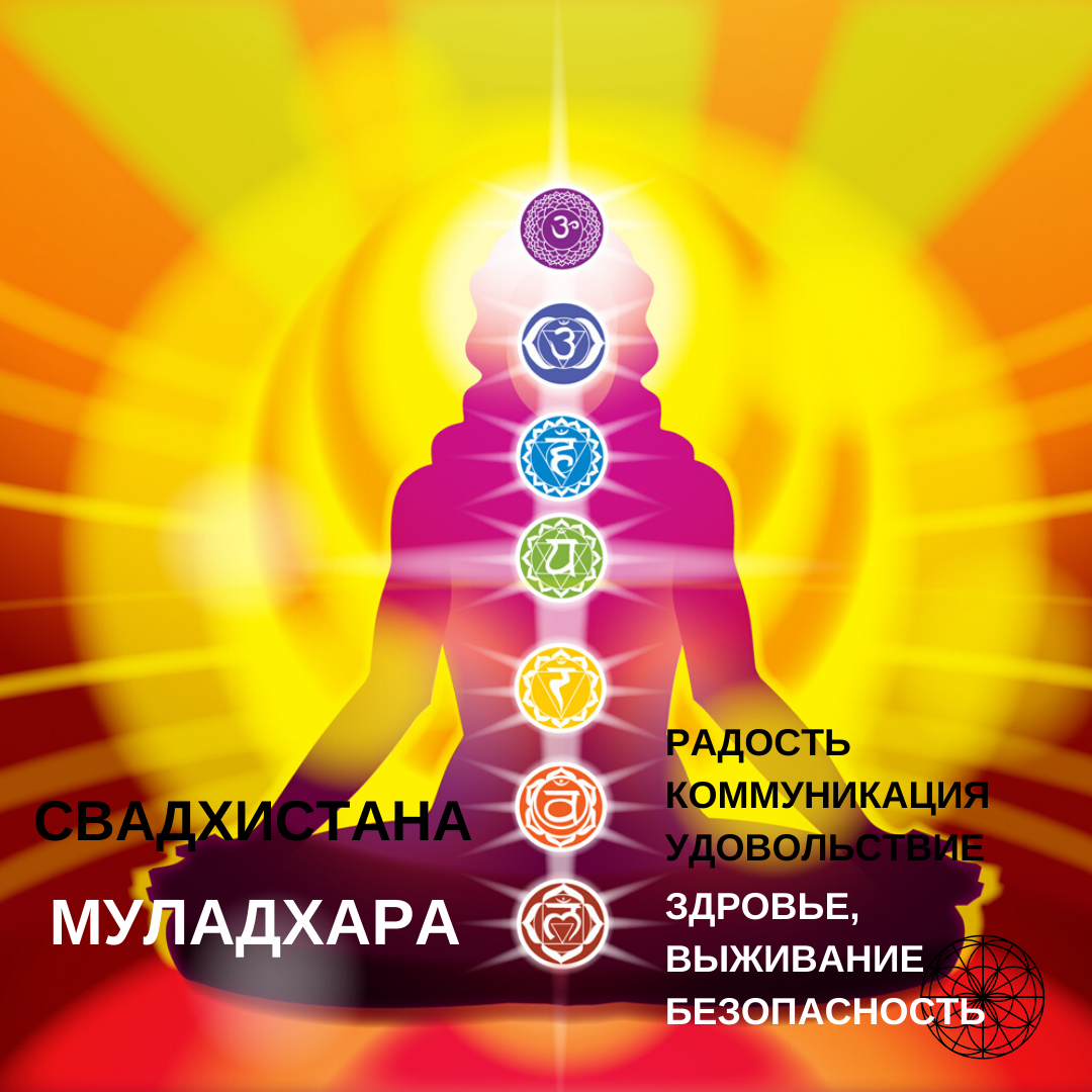 За что отвечают первая и вторая чакры.