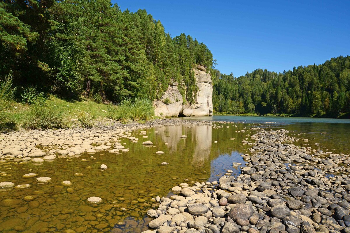 Река лебедь горный алтай