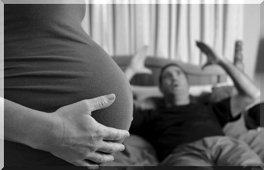 Фото Яндекс.Картинки. Все права принадлежат правообладателям