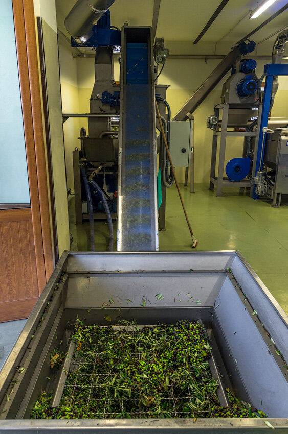 Производство оливкового масла. Производство оливок. Приспособление для производства оливкового масла. Заводы по производству оливкового масла.
