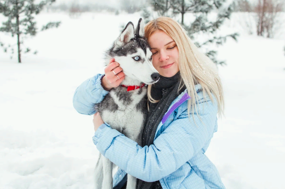 Девочка с собакой из лайка. Фотосессия девушка с хаски. Хаски девочка. Хаски зимой. Красивые хаски девочки.