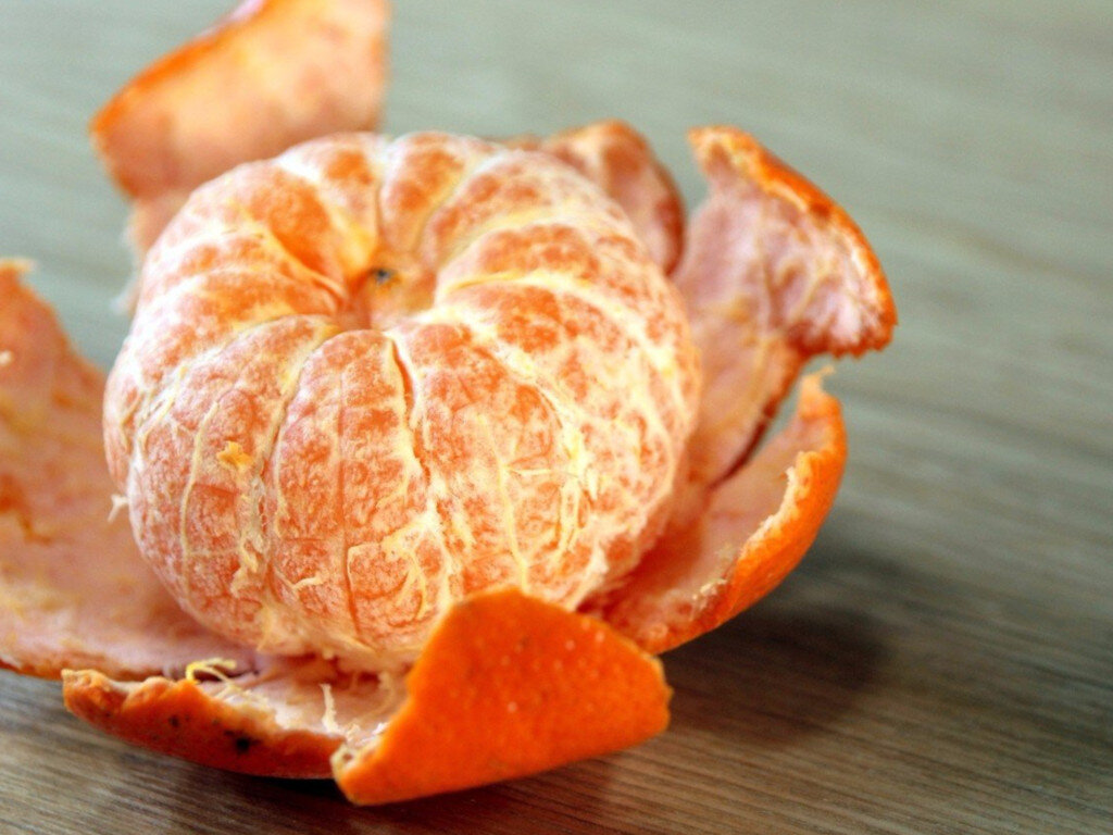 из открытых источников Яндекс