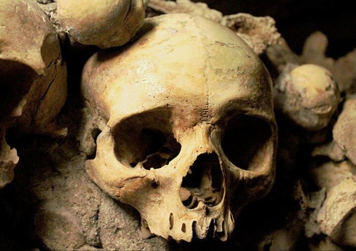 Яндекс.Картинки