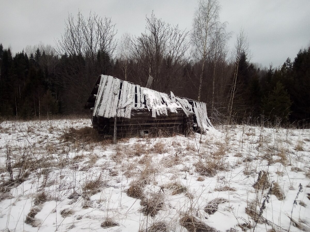 брошенные деревни нижегородской области фото