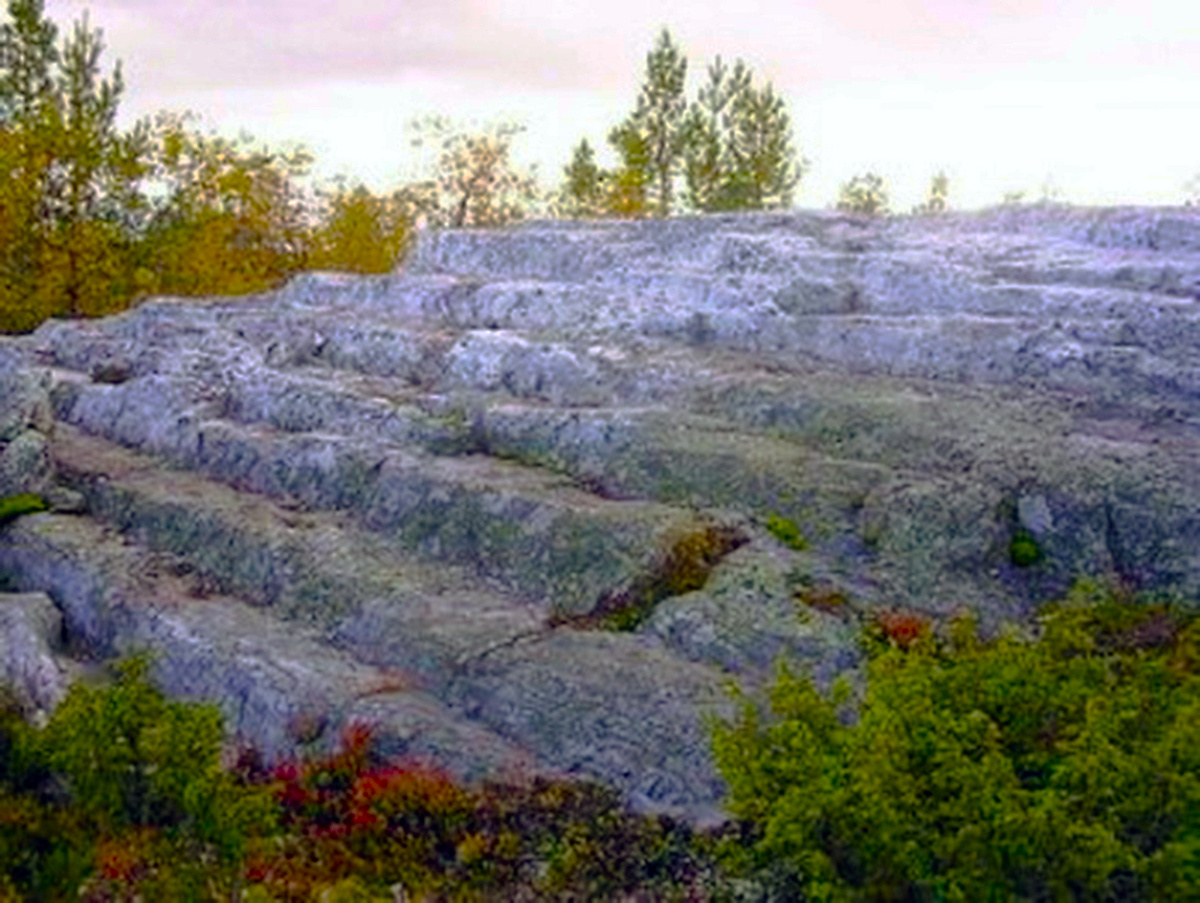 Изображение взято с Яндекс. картинки