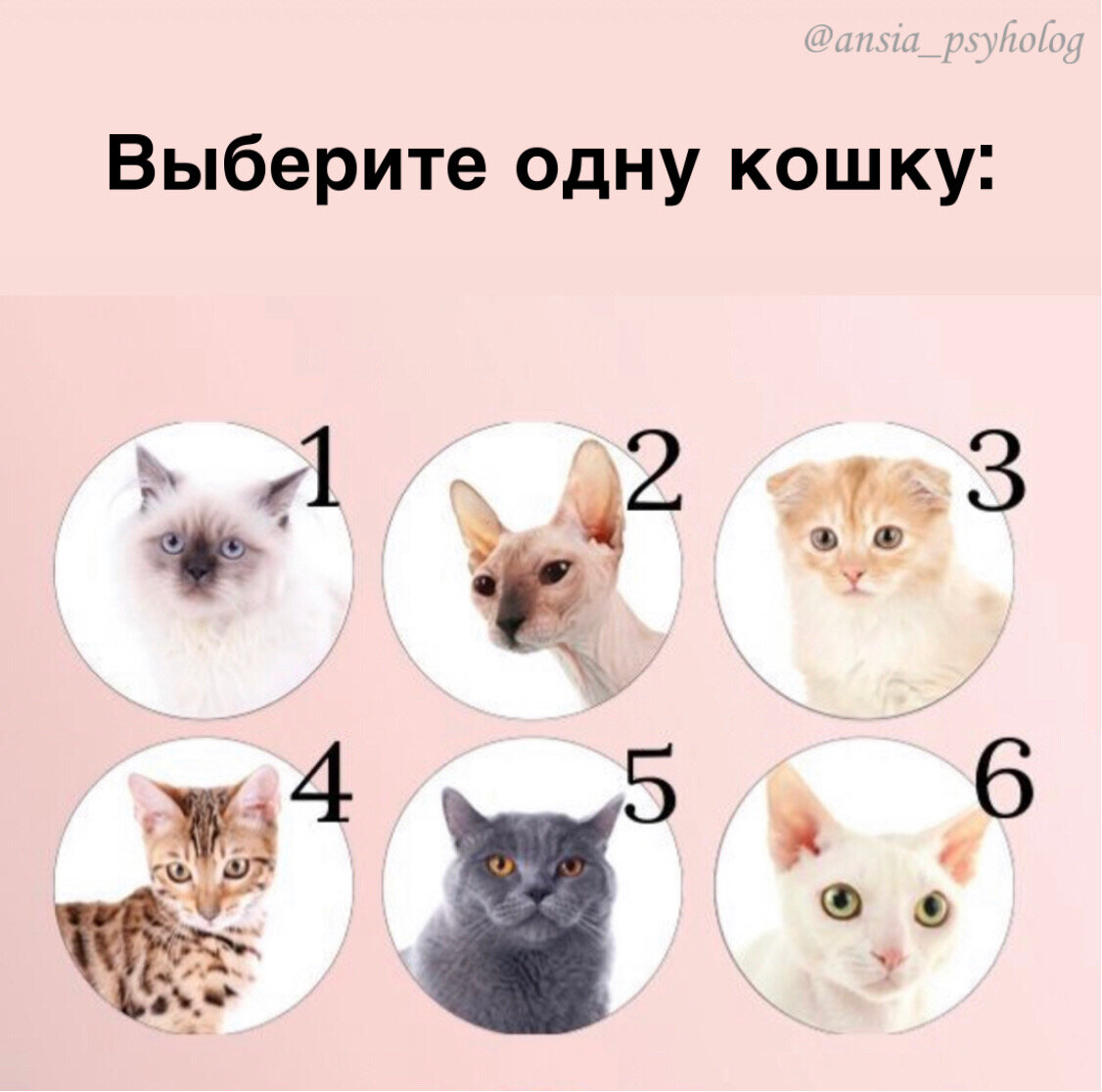 Можно выбрать только один вариант