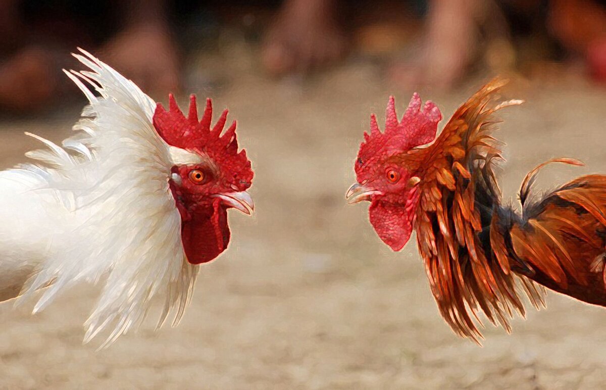 Взято из просторов интернета (яндекс.картинки)