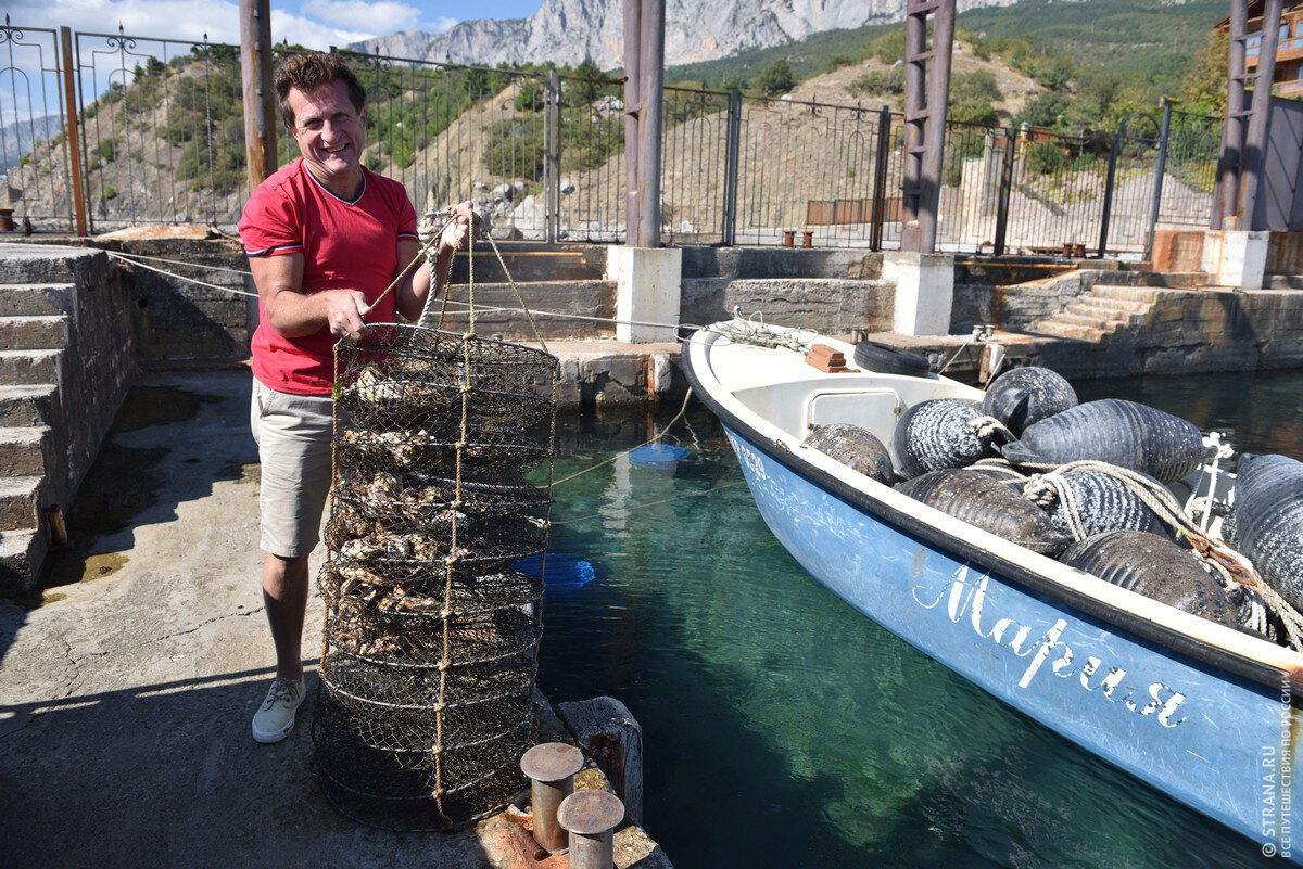 С. В. Кулик     фото:strana.ru