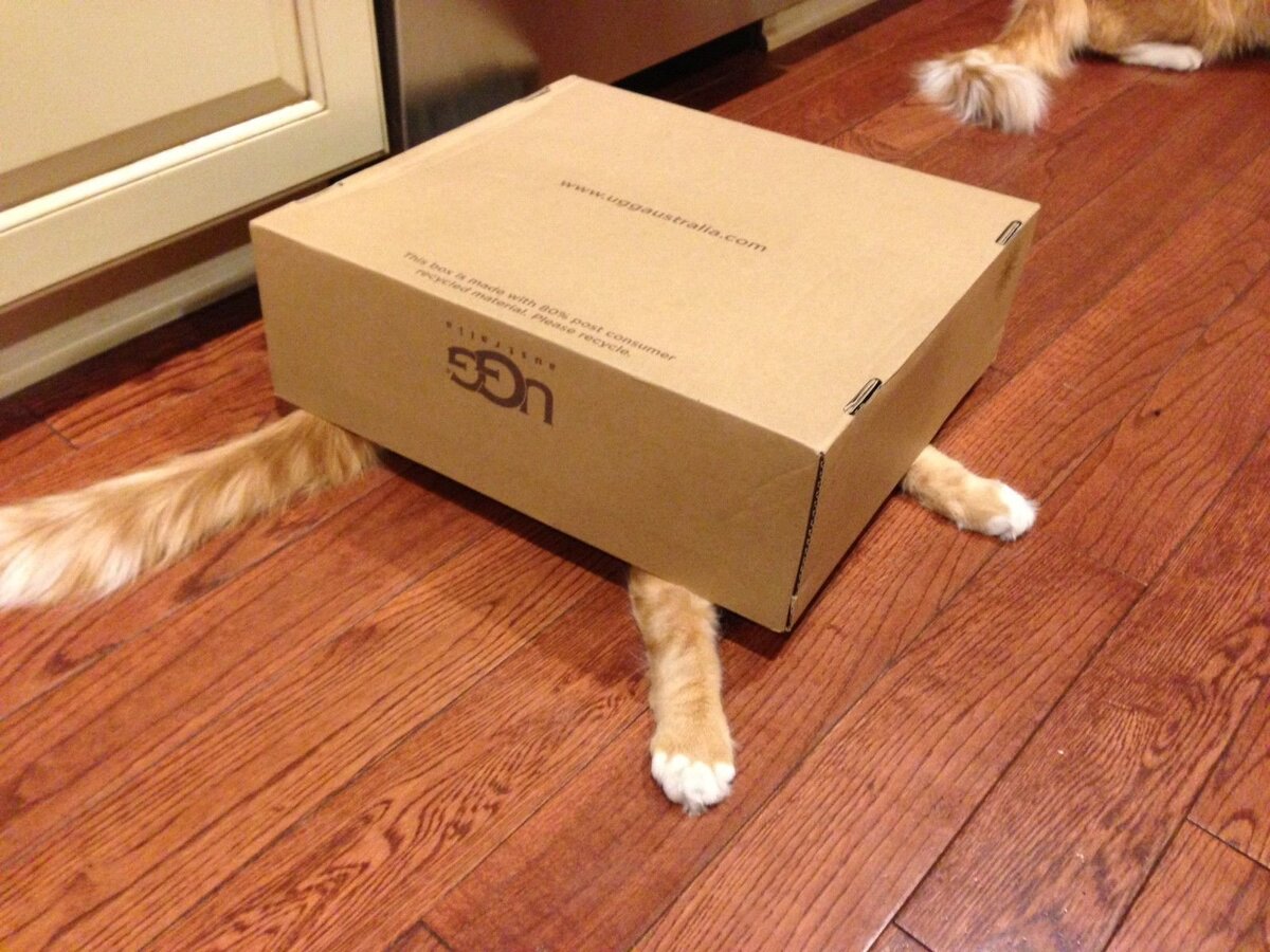 Не только человеку хочется уединиться и никого не видеть и не слышать