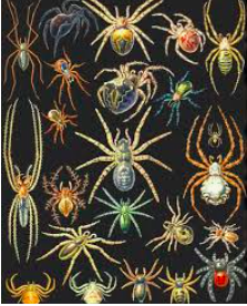 из открытых источников фото