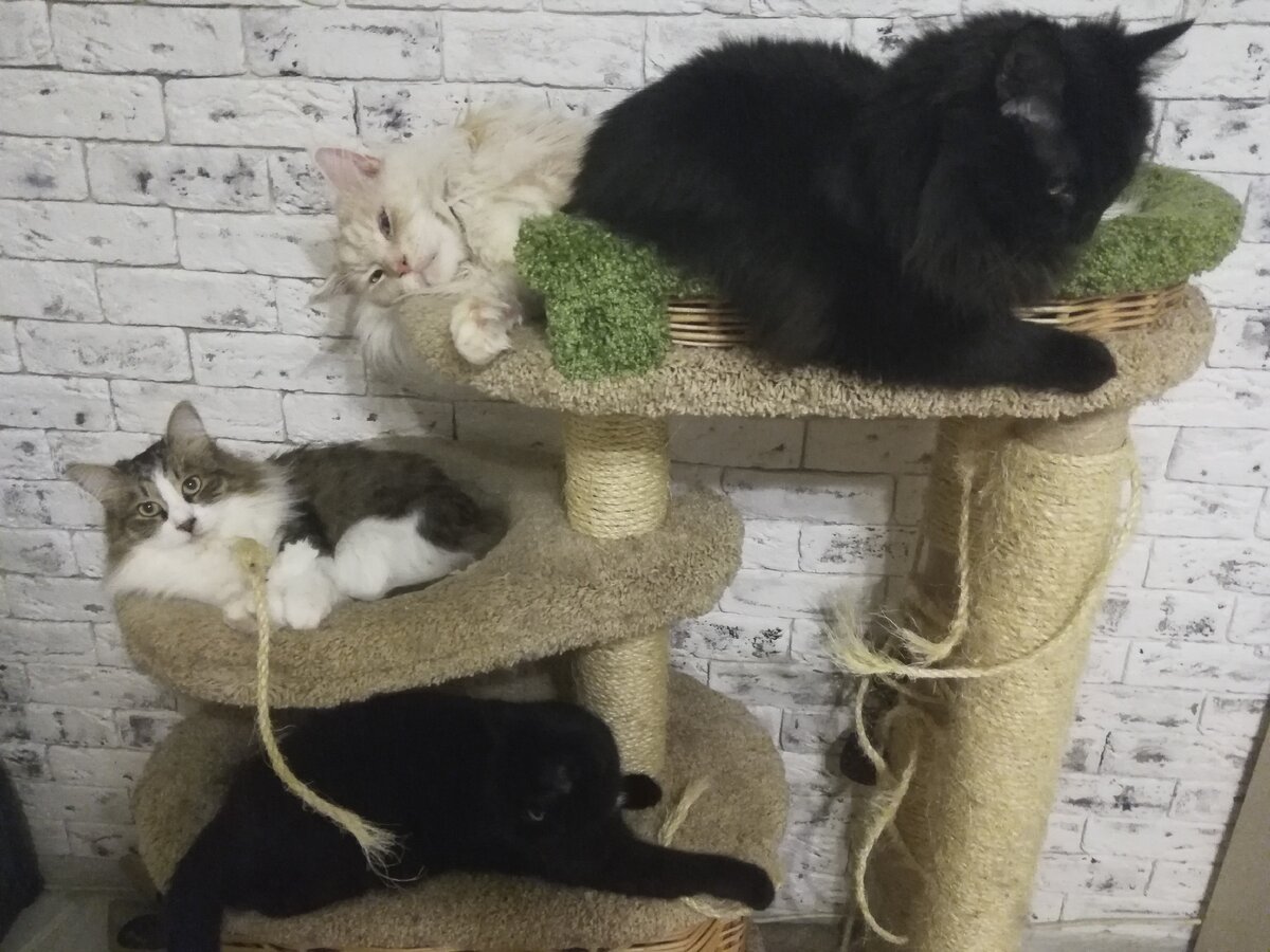                                                                  Наша банда в полном сборе