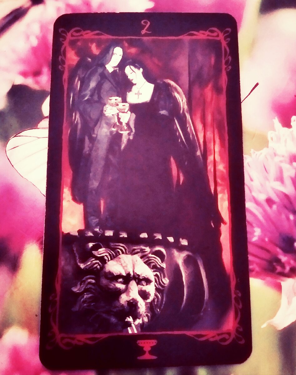 Фото из личного архива автора 