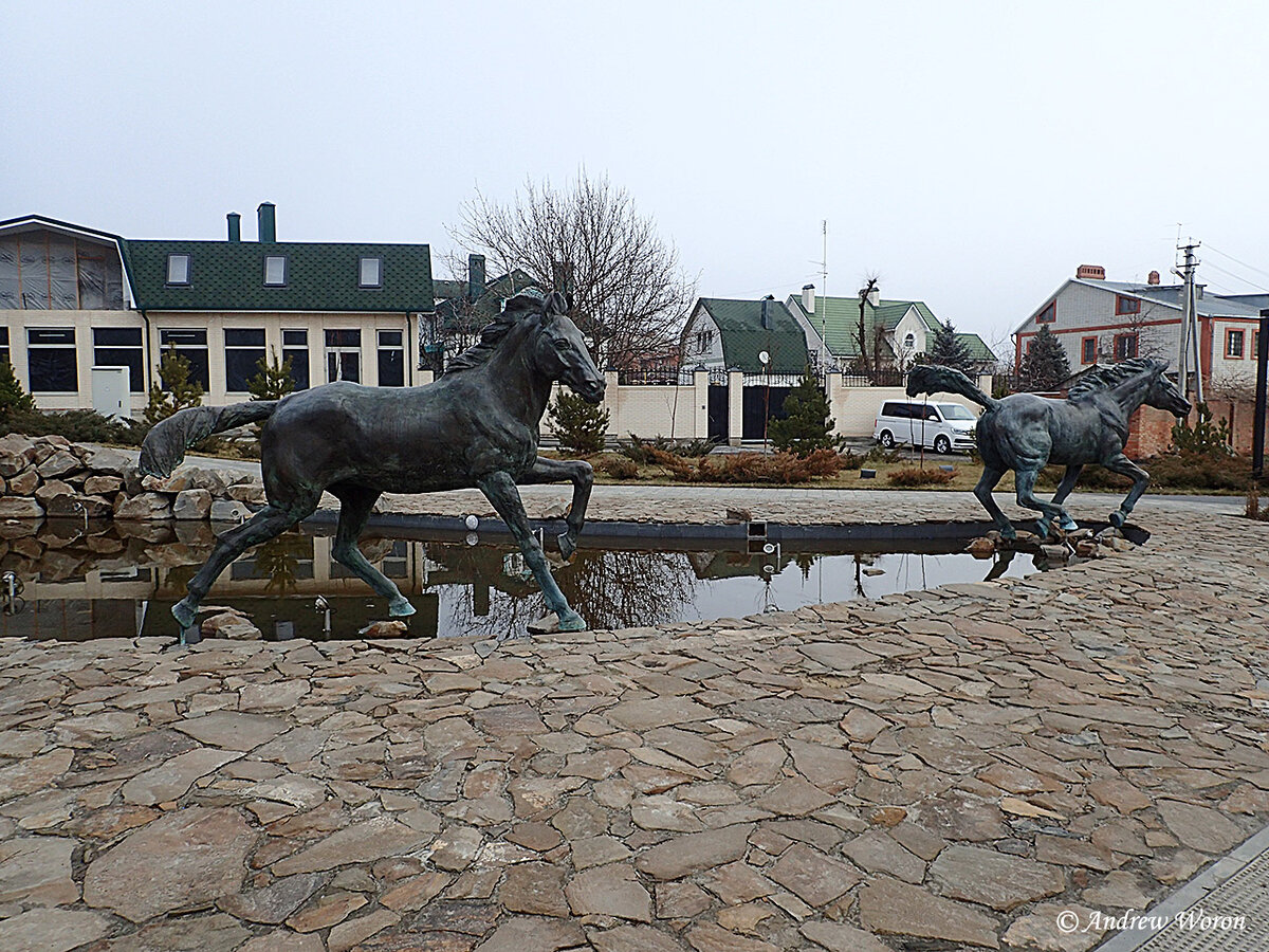 Первые два жеребца