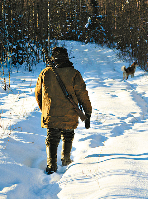охотничья тропа 5. торума охотничья тропа. охотничья тропа геншин оружие. охотничья тропа 5. охота по тропе.