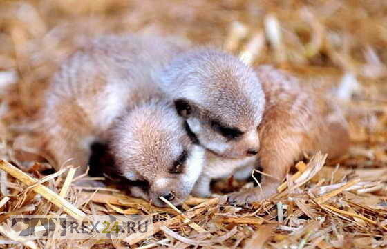 Фото: соцсети